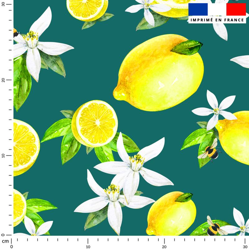 Citron jaune et fleur de citronnier - Fond bleu vert