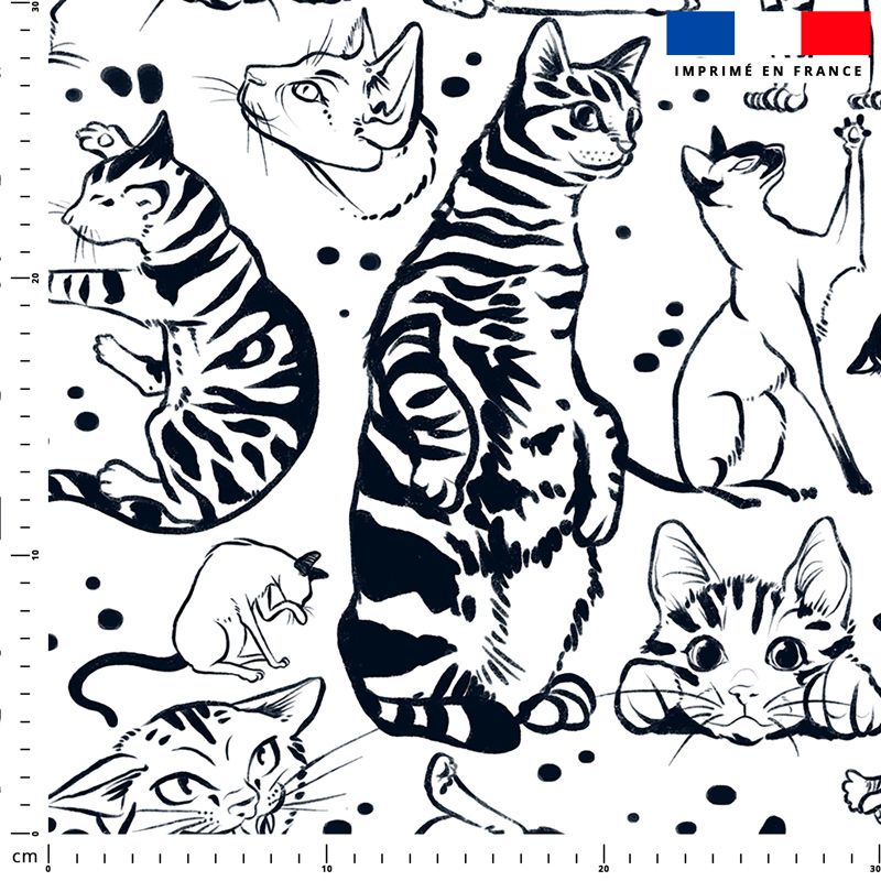 Chats tigrés - Fond blanc - Création Pilar Berrio