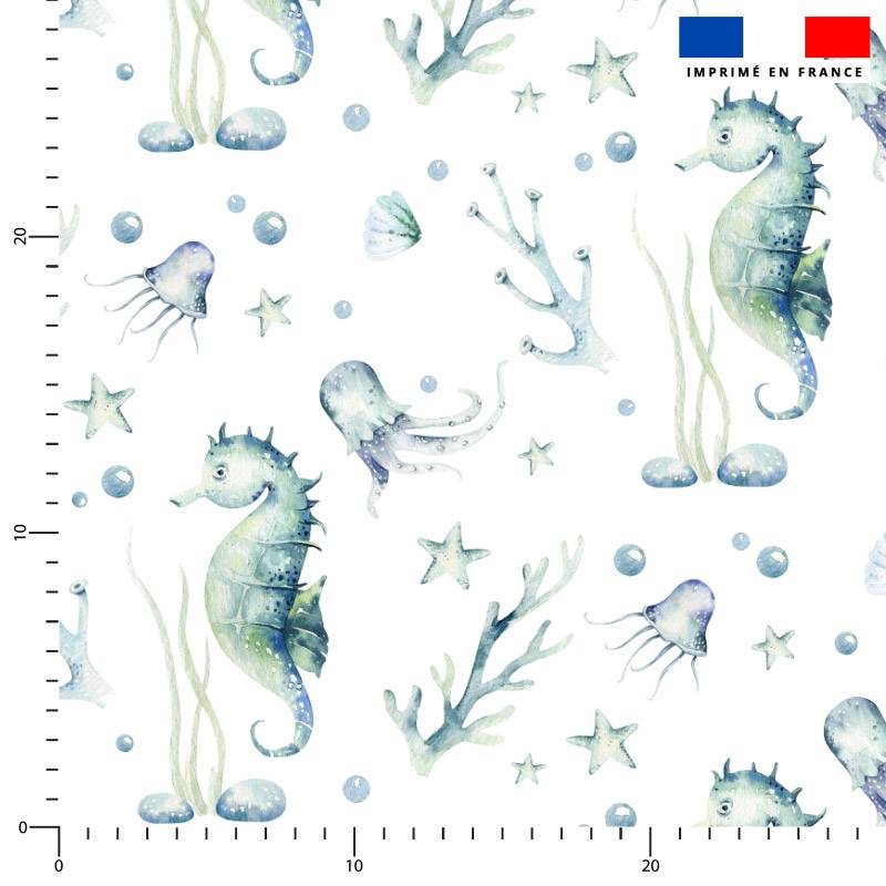 Hippocampe et pieuvre aquarelle - Fond blanc