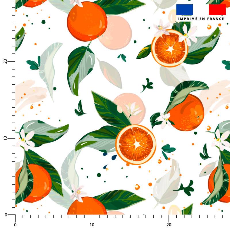 Orange et feuille d'oranger - Fond blanc