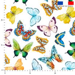 Papillon multicolore - Fond...