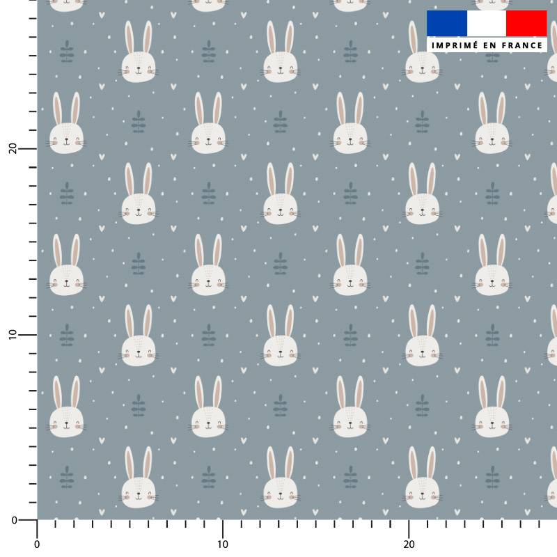 Lapin et coeur fantaisie - Fond bleu gris